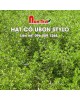 Hạt cỏ Ubon Stylo